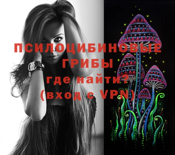ГАЛЛЮЦИНОГЕННЫЕ ГРИБЫ Заволжье