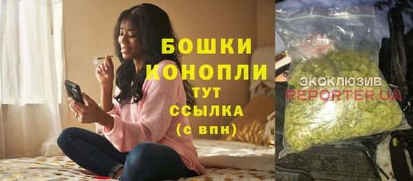 ГАЛЛЮЦИНОГЕННЫЕ ГРИБЫ Заволжье